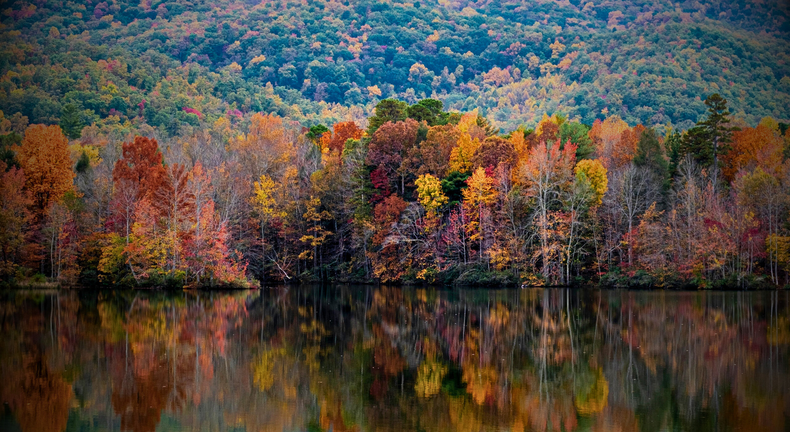 Explore Hikes Of Georgia - fun hiking adventures and mushroom foraging