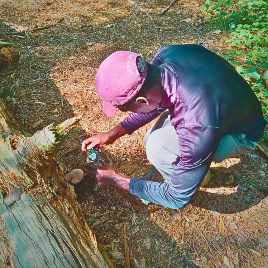 Hikes of Georgia fungi identification and foraging support