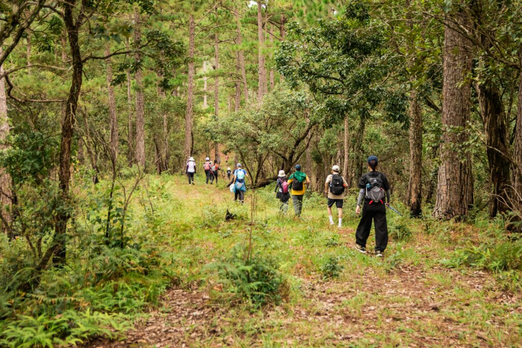 Hikes Of Georgia Guided Hikes