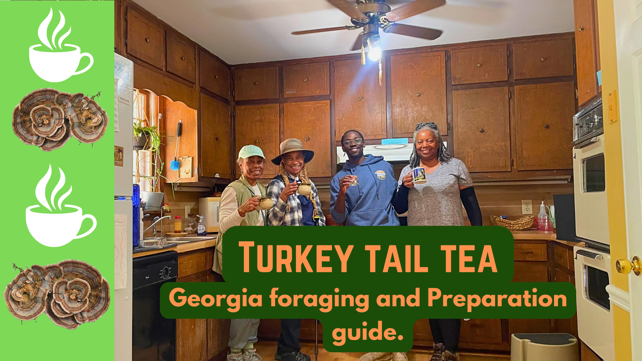 Foraging in Georgia: How to Find and Make Turkey Tail Tea